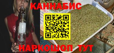 гашик Кингисепп
