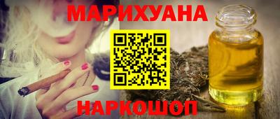 гашик Кингисепп