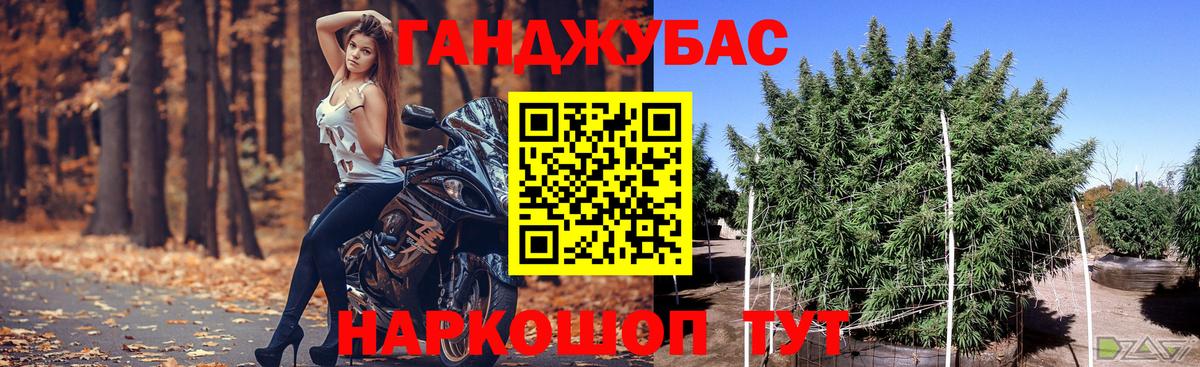 Конопля планчик Красноармейск